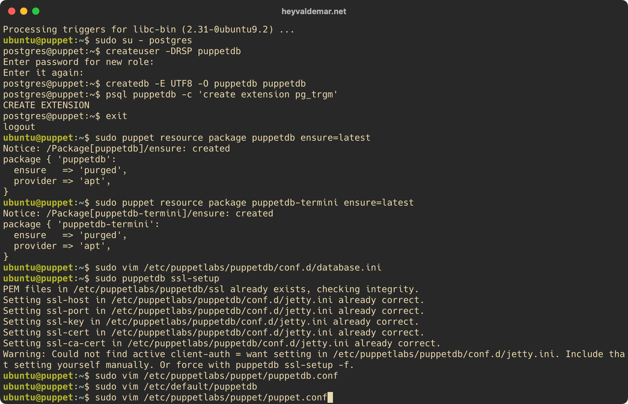 Установка PuppetDB на Ubuntu Server