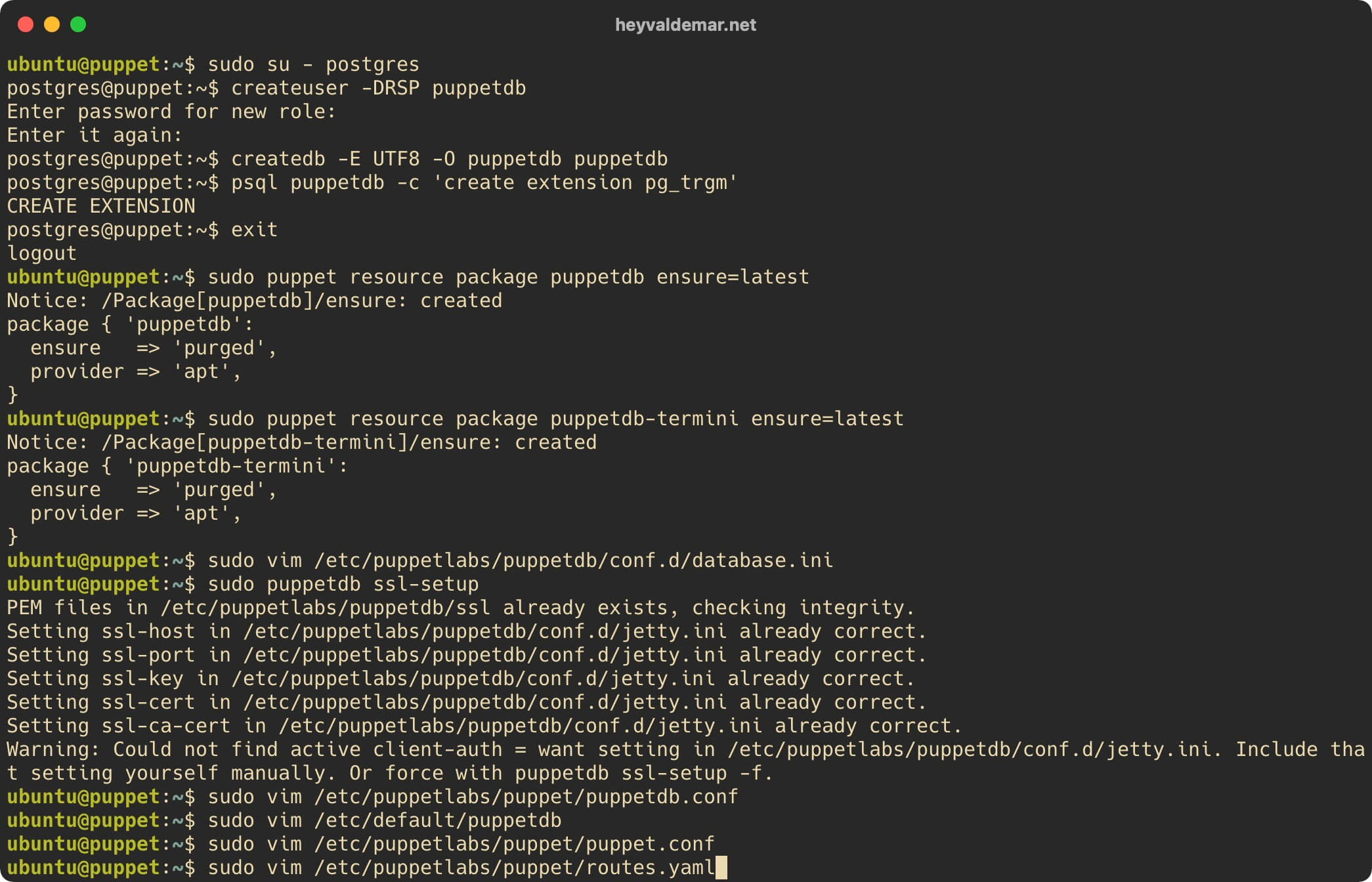 Установка PuppetDB на Ubuntu Server