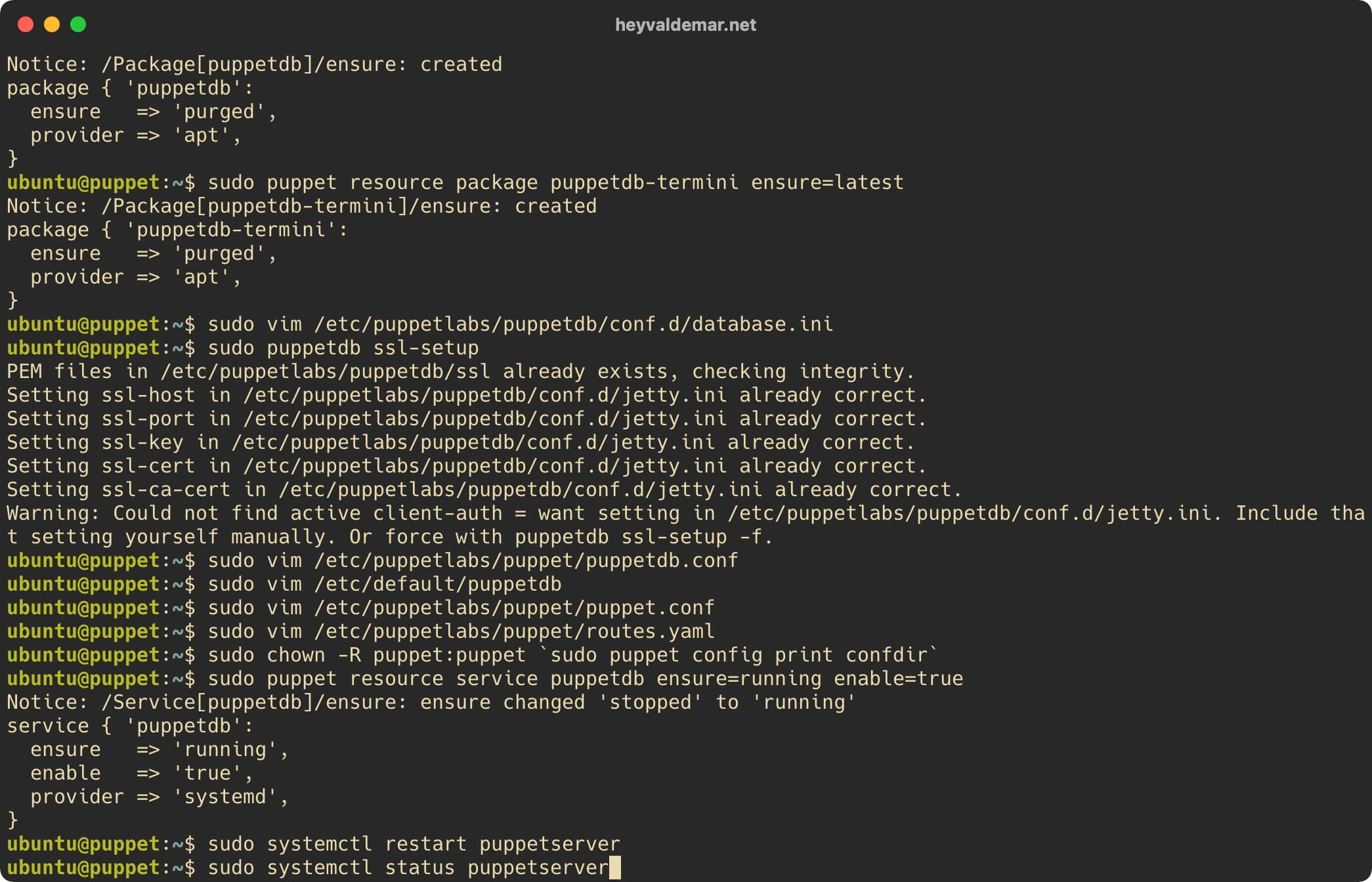 Установка PuppetDB на Ubuntu Server