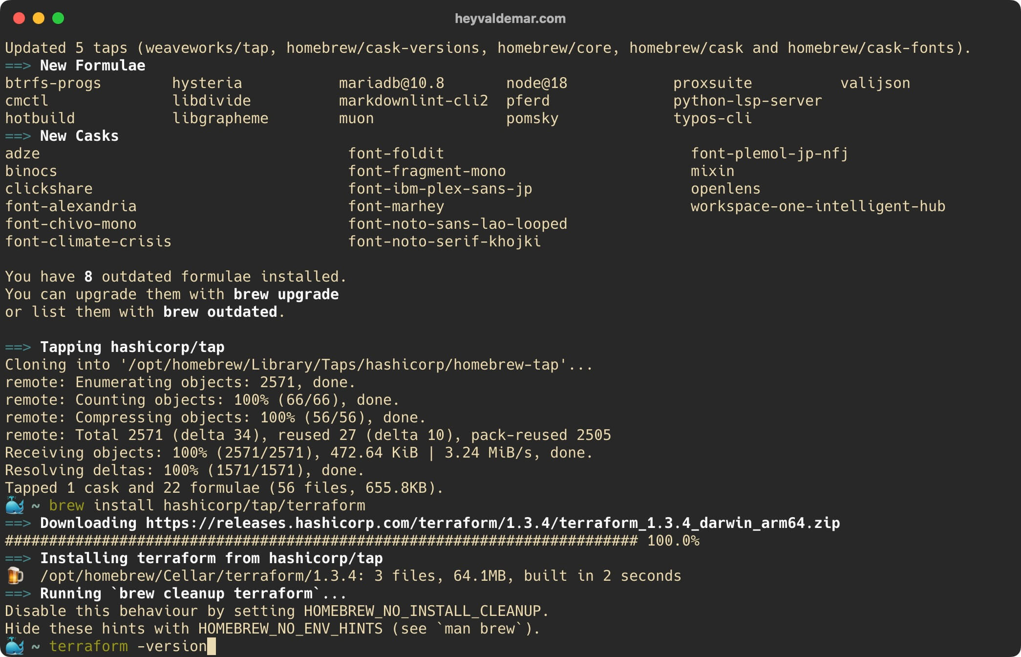 Установка Terraform на macOS